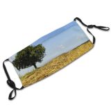 yanfind Field Landscape Grassland Field Summer Plant Natural Crop Agriculture Family Sky Tree Dust Washable Reusable Filter and Reusable Mouth Warm Windproof Cotton Face