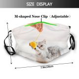 yanfind Comfortable Apartment Comfort Young Little Cat Kitty Cute Shorthair With Grey Pedigreed Dust Washable Reusable Filter and Reusable Mouth Warm Windproof Cotton Face