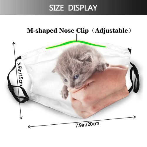 yanfind Isolated Fur Straight Young Little Cat Game British Cute Kitty Wool Grey Dust Washable Reusable Filter and Reusable Mouth Warm Windproof Cotton Face