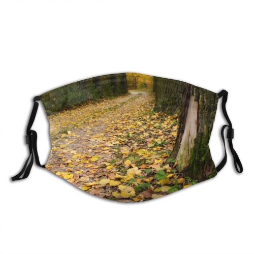 yanfind Natural Autumn Leaves Landscape Leaf Forest Leaf Tree Poland Trunk Autumn Forest Dust Washable Reusable Filter and Reusable Mouth Warm Windproof Cotton Face