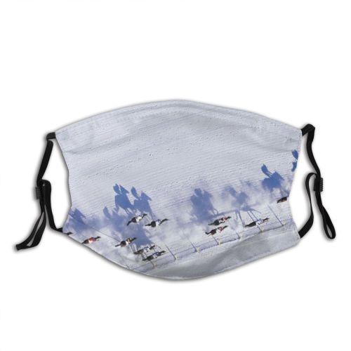 yanfind Ice Aerial Horseback Snow Valley Archival St Riding Racehorse Racing Outdoors Winter Dust Washable Reusable Filter and Reusable Mouth Warm Windproof Cotton Face