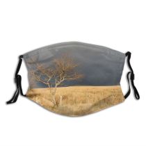 yanfind Natural Atmospheric Sun Contryside Cloud Landscape Sky Tempest Prairie Clouds Grassland Tree Dust Washable Reusable Filter and Reusable Mouth Warm Windproof Cotton Face