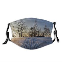 yanfind Winter Morning Winter Natural Atmospheric Sun Landscape Sky Snow Tree Light Daytime Dust Washable Reusable Filter and Reusable Mouth Warm Windproof Cotton Face