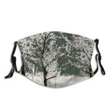 yanfind Winter Natural Winter Woody Landscape Plant Ice Branch Landscapes Leaf Tree Frost Dust Washable Reusable Filter and Reusable Mouth Warm Windproof Cotton Face