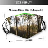 yanfind Sumac Natural Sun Autumn Growth Landscape Fall Light Wood Forest Hardwood Northern   Dust Washable Reusable Filter and Reusable Mouth Warm Windproof Cotton Face