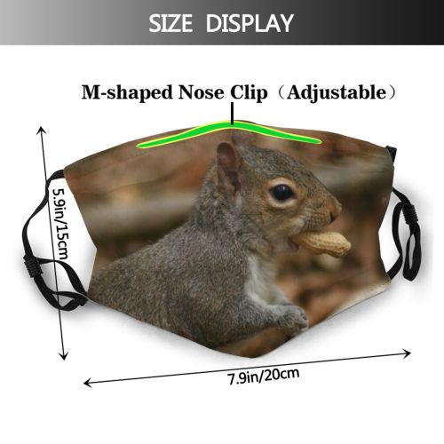 yanfind Vertebrate Chipmunk Ground Squirrel Fox Squirrel Grey Whiskers Squirrels Snout Wildlife Dust Washable Reusable Filter and Reusable Mouth Warm Windproof Cotton Face