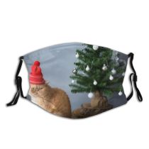 yanfind Cat Christmas Cute Cozy Nose Year Ginger Face Silver Pet Tree Table Dust Washable Reusable Filter and Reusable Mouth Warm Windproof Cotton Face