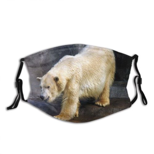 yanfind Mamifero Vertebrate Carnivore Terrestrial Oso Polar Bear Snout Bear Adaptation Polar Dust Washable Reusable Filter and Reusable Mouth Warm Windproof Cotton Face