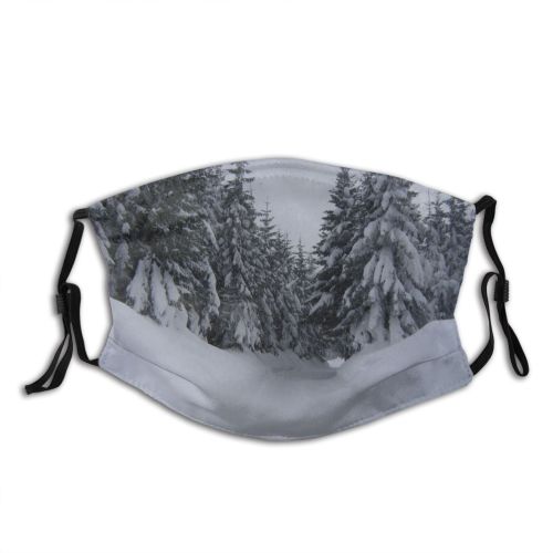 yanfind Winter Xmas Slope Winter Atmospheric Geological Snow Terrain Tree Blizzard Krkonose Biome Dust Washable Reusable Filter and Reusable Mouth Warm Windproof Cotton Face