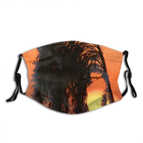 yanfind Winter Sunset Sunset Plant Sky Tree Plants Sun Seasons Dust Washable Reusable Filter and Reusable Mouth Warm Windproof Cotton Face
