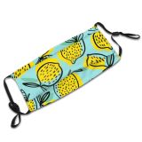 yanfind Cartoon Tropical Cute Design Fresh Art Citrus Kitchen Exotic Whole Seamless Summer Dust Washable Reusable Filter and Reusable Mouth Warm Windproof Cotton Face