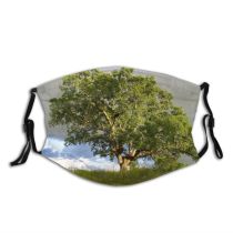 yanfind Plant California Tree Tree Plant Oak Spring Woody Grassland Wildflower Alone Grass Dust Washable Reusable Filter and Reusable Mouth Warm Windproof Cotton Face