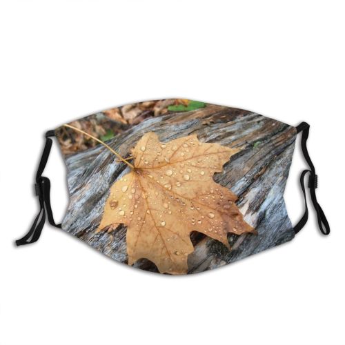yanfind Maple Limb Wood Autumn Branches Woody Drops Leaves Branch Maple Plant Fall Dust Washable Reusable Filter and Reusable Mouth Warm Windproof Cotton Face
