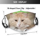 yanfind Manual Watch Fur Striped Cat Wool Warm Box Impudent Muzzle Rumbling Beautiful Dust Washable Reusable Filter and Reusable Mouth Warm Windproof Cotton Face