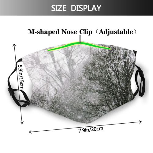 yanfind Winter December Winter Atmospheric Sky Branch Snow Tree Tree Blizzard Poland Frost Dust Washable Reusable Filter and Reusable Mouth Warm Windproof Cotton Face