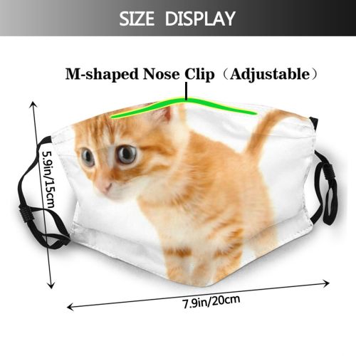 yanfind Isolated Fur Young Little Cat Kitty Cute Striped Carnivore Shorthair Purr Household Dust Washable Reusable Filter and Reusable Mouth Warm Windproof Cotton Face