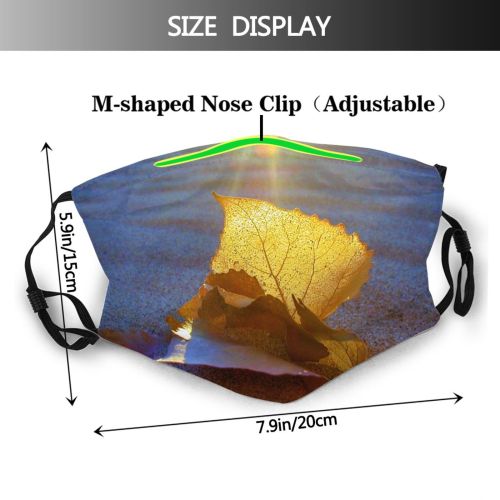 yanfind Winter Leaves Leaf Effects Beach Landscape Macro Scenery Lighting Light Sand Sandy Dust Washable Reusable Filter and Reusable Mouth Warm Windproof Cotton Face