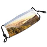 yanfind Idyllic Forest Foggy Misty Woods Tranquil Scenic Trees Calm Hazy Sky Murky Dust Washable Reusable Filter and Reusable Mouth Warm Windproof Cotton Face