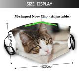 yanfind Face Sight Funny Cats Cat Cute Sad Relax Relaxing Tender Sweet Dust Washable Reusable Filter and Reusable Mouth Warm Windproof Cotton Face