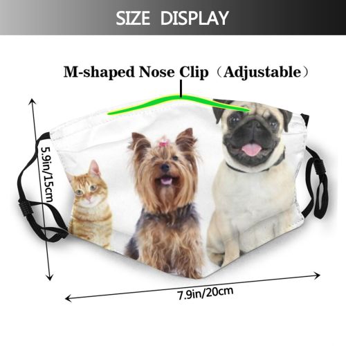 yanfind Isolated Fur Fashion Young Little Cat Cute Yorkie Dog Puppy Pedigree Posing Dust Washable Reusable Filter and Reusable Mouth Warm Windproof Cotton Face