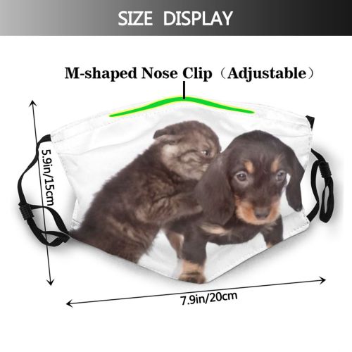 yanfind Friends Isolated Young Relations Together Little Cat Newborn Friendly Fight Tiny Dog Dust Washable Reusable Filter and Reusable Mouth Warm Windproof Cotton Face