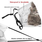 yanfind Isolated Pet Fluffy Eyes Cat Cute Adorable Dust Washable Reusable Filter and Reusable Mouth Warm Windproof Cotton Face