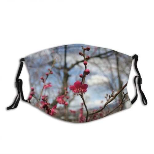yanfind Flower Flowering Blossom Plant Spring Flower Twig Tree Stem Plant Branch Japan Dust Washable Reusable Filter and Reusable Mouth Warm Windproof Cotton Face