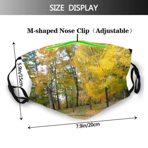 yanfind Natural Autumn Woody Landscape Plant Lanscape Leaf Tree Autumn Park Season Deciduous Dust Washable Reusable Filter and Reusable Mouth Warm Windproof Cotton Face