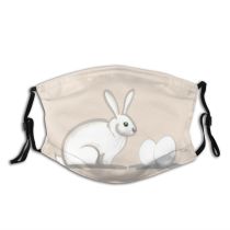 yanfind Pet Rabbit Beige Bunny Cute Spring Easter Happy Dust Washable Reusable Filter and Reusable Mouth Warm Windproof Cotton Face