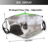 yanfind Fur Young Striped Cat Cute Box Big Fence Winter Fangs Beautiful Eyed Dust Washable Reusable Filter and Reusable Mouth Warm Windproof Cotton Face
