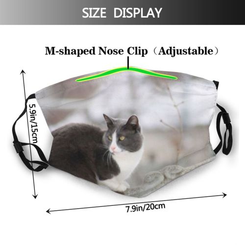 yanfind Fur Young Striped Cat Cute Box Big Fence Winter Fangs Beautiful Eyed Dust Washable Reusable Filter and Reusable Mouth Warm Windproof Cotton Face