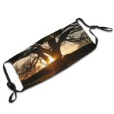 yanfind Natural Atmospheric Sun Autumn Woody Branch Sunset Landscape Sky Branch Sunlight Tree Dust Washable Reusable Filter and Reusable Mouth Warm Windproof Cotton Face