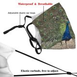 yanfind Plumage Tail Bird Peafowl Bird Organism Feathers Tree Phasianidae Galliformes Peacock Wildlife Dust Washable Reusable Filter and Reusable Mouth Warm Windproof Cotton Face