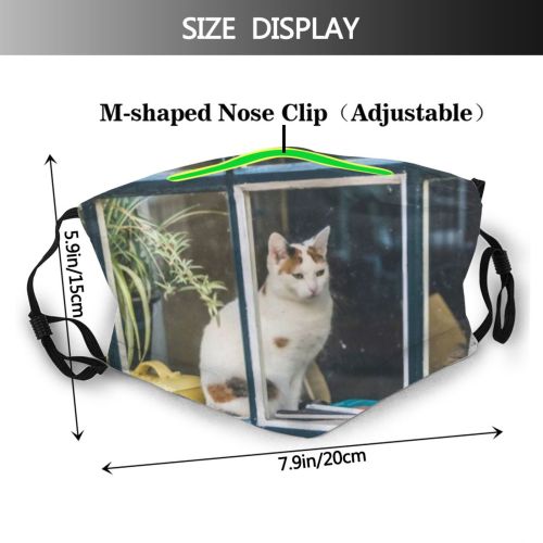 yanfind Countryside Fur Young Striped Cat Kitty Cute Old Window Classic Vintage Soft Dust Washable Reusable Filter and Reusable Mouth Warm Windproof Cotton Face