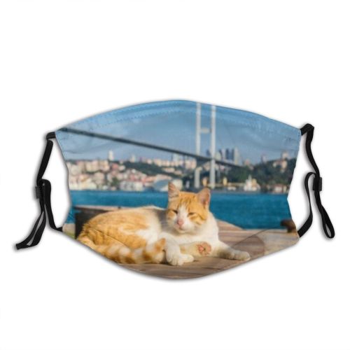 yanfind Connection Connecting Cat Vacation Cute Turkish Old Exterior Stray Tourism Historic Bridge Dust Washable Reusable Filter and Reusable Mouth Warm Windproof Cotton Face