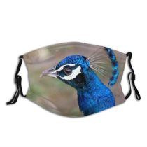yanfind Peacock Phasianidae Beak Feather Vertebrate Bird Peafowl Electric Pajaro Birds Bird Coraciiformes Dust Washable Reusable Filter and Reusable Mouth Warm Windproof Cotton Face