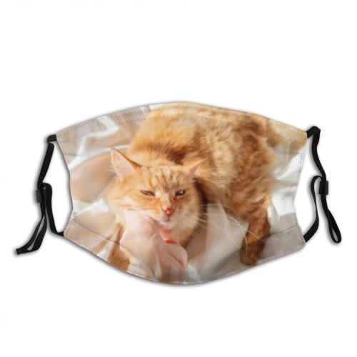 yanfind Comfort Bed Cat Kitty Cute Slow Unmade Pleasure Cozy Fuzzy Bedding Lazy Dust Washable Reusable Filter and Reusable Mouth Warm Windproof Cotton Face