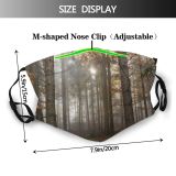 yanfind Idyll Autumn Park Branch Maple Mood Dawn Forest Silent Sunbeam Sun Beautiful Dust Washable Reusable Filter and Reusable Mouth Warm Windproof Cotton Face
