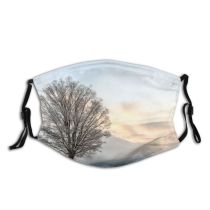 yanfind Ice Frost Kyonggi Landscape Frozen Solitude Bare Tree Scene Snow Branch Sky Dust Washable Reusable Filter and Reusable Mouth Warm Windproof Cotton Face