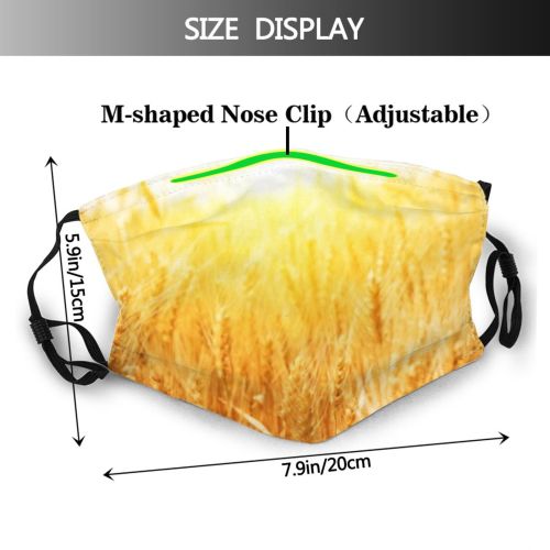 yanfind Cereal Wheat Ears Field Bread Grow Farming Dramatic Farm  Landscaped Light Dust Washable Reusable Filter and Reusable Mouth Warm Windproof Cotton Face