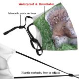 yanfind Vertebrate Garden Terrestrial Squirrel Eatting Fox Squirrel Grey Grass Whiskers Wildlife Snout Dust Washable Reusable Filter and Reusable Mouth Warm Windproof Cotton Face