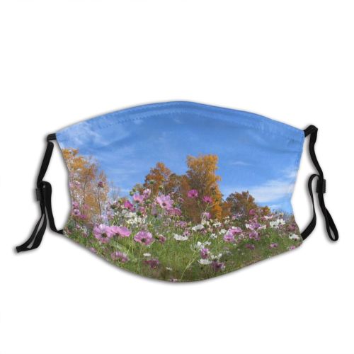 yanfind Plant Cosmos Flower Garden Meadow Plant Spring Flowers Outdoor Cosmos Spring Sky Dust Washable Reusable Filter and Reusable Mouth Warm Windproof Cotton Face