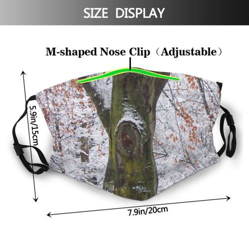 yanfind Winter Landscape Leaf Trees Plant Tree Branch Plant Winter Trunk Freezing Snow Dust Washable Reusable Filter and Reusable Mouth Warm Windproof Cotton Face