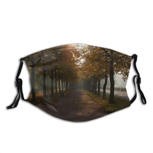yanfind Morning Natural Atmospheric Sun Autumn Woody Landscape Haze Big Sunny Sunlight Leaf Dust Washable Reusable Filter and Reusable Mouth Warm Windproof Cotton Face