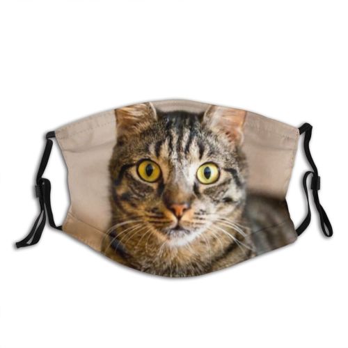 yanfind Energetic Affectionate Whisker Fur Kitty Cute Affection Active Grey Bonding Vintage Relax Dust Washable Reusable Filter and Reusable Mouth Warm Windproof Cotton Face