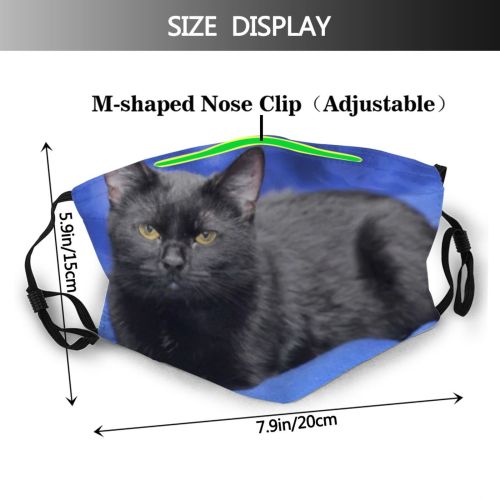 yanfind Fur Young Cat Cute Fear Watching Catnip Bengal Female Homeless Mouse Beautiful Dust Washable Reusable Filter and Reusable Mouth Warm Windproof Cotton Face