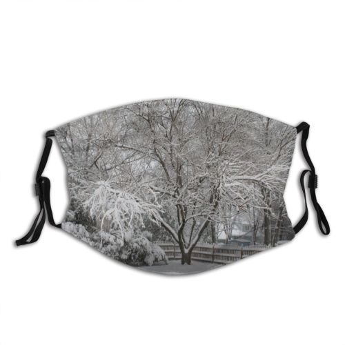 yanfind Winter Blizzard Tree Branch Blizzard Frost Winter Plant Freezing Snow Woody Dust Washable Reusable Filter and Reusable Mouth Warm Windproof Cotton Face