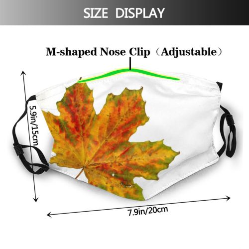 yanfind Flowering Leaves Leaf Maple Leaf Maple Fall Plant Tree Plant Decoration Autumn Dust Washable Reusable Filter and Reusable Mouth Warm Windproof Cotton Face