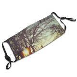 yanfind Morning Natural Atmospheric Woody Tallinn Landscape Sky Branch Bare Tree Tree Light Dust Washable Reusable Filter and Reusable Mouth Warm Windproof Cotton Face