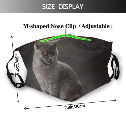 yanfind Isolated Fur Young Cat Cute Grey Nobody Shot Pet Studio Eyes Portrait Dust Washable Reusable Filter and Reusable Mouth Warm Windproof Cotton Face